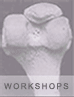 WORKSHOPS